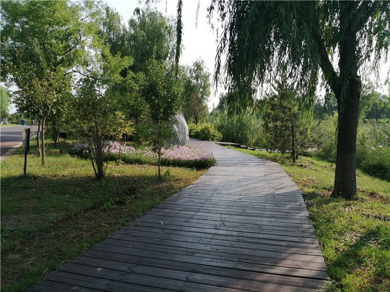美哉 秦皇河