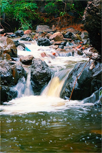 水韵鹤伴山