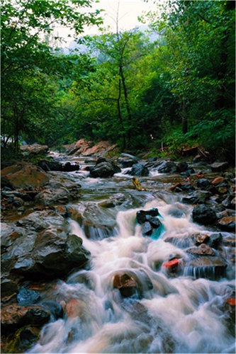 水韵鹤伴山