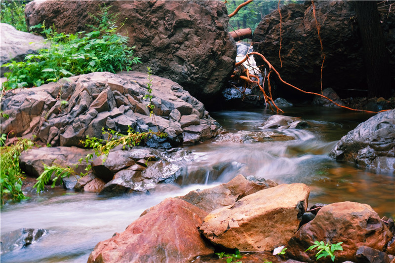 水韵鹤伴山