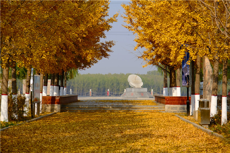 梯子坝“黄金大道”