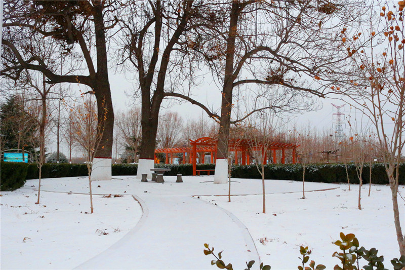 雪后的梯子坝