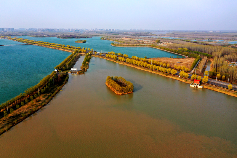 春盛景，黄河情