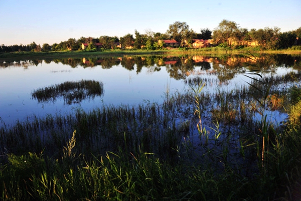 博兴黄河湿地美如画